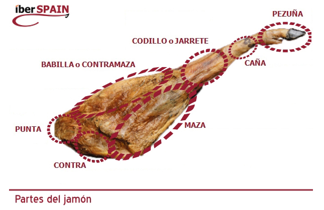 Parts of the ham